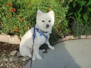 DSC06857