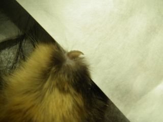IMGP0856