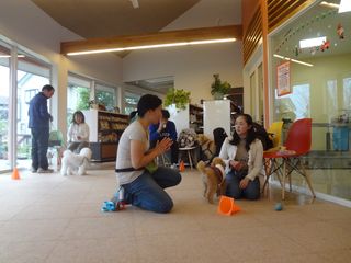 DSC08755 DSC08755