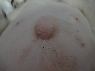 DSC09699