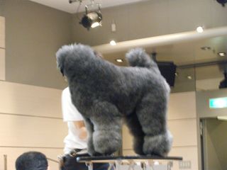DSCF5509 DSCF5509