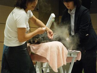 DSCF5599 DSCF5599