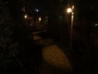 DSC07395