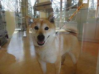 DSC09715