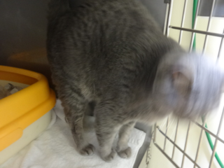 DSC00536 DSC00536
