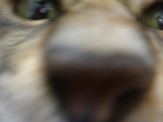 DSC00531 DSC00531