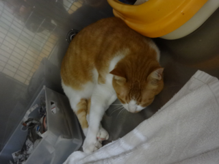 DSC00534 DSC00534