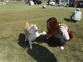 DSC01464 DSC01464