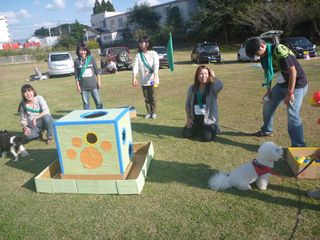 P1010712 P1010712