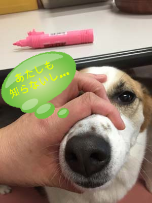 犯人4