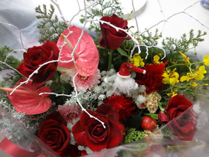 Maisa花 Maisa花
