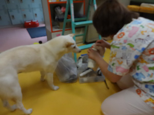 手伝い3 手伝い3