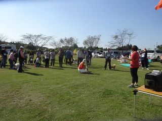 DSC01343 DSC01343