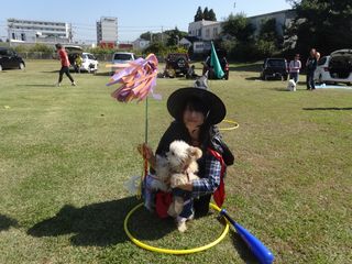 DSC01415 DSC01415