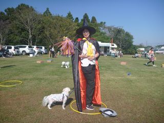 P1010461 P1010461